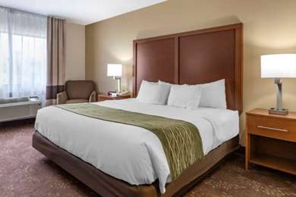 Comfort Inn Okemos - East Lansing 10