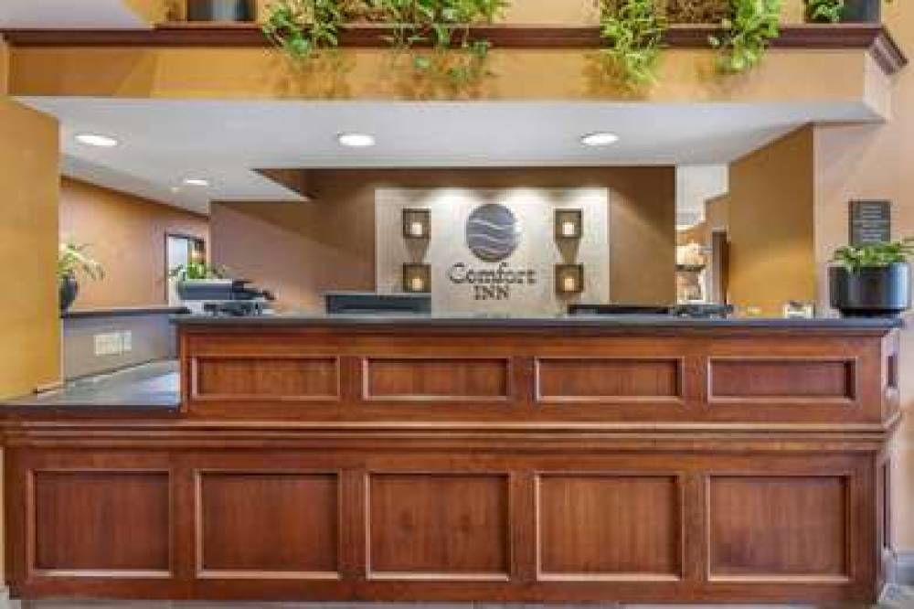 Comfort Inn Okemos - East Lansing 7