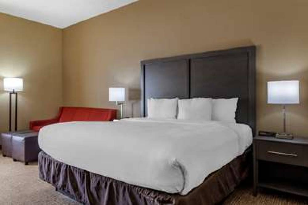 Comfort Inn Opelika - Auburn 9