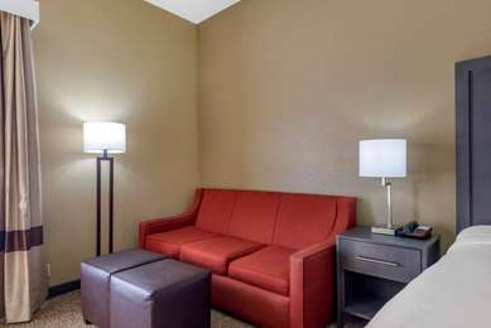 Comfort Inn Opelika - Auburn 10