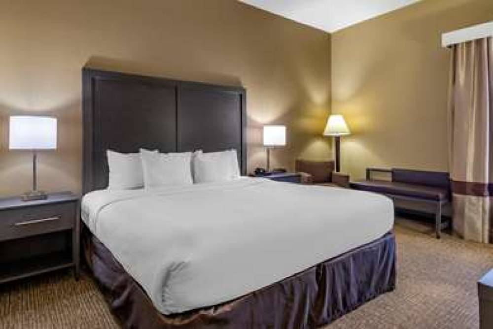 Comfort Inn Opelika - Auburn 5