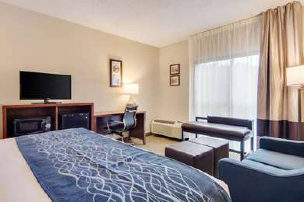 COMFORT INN ROSWELL-DUNWOODY 4