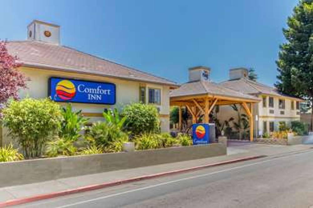 Comfort Inn Santa Cruz 1