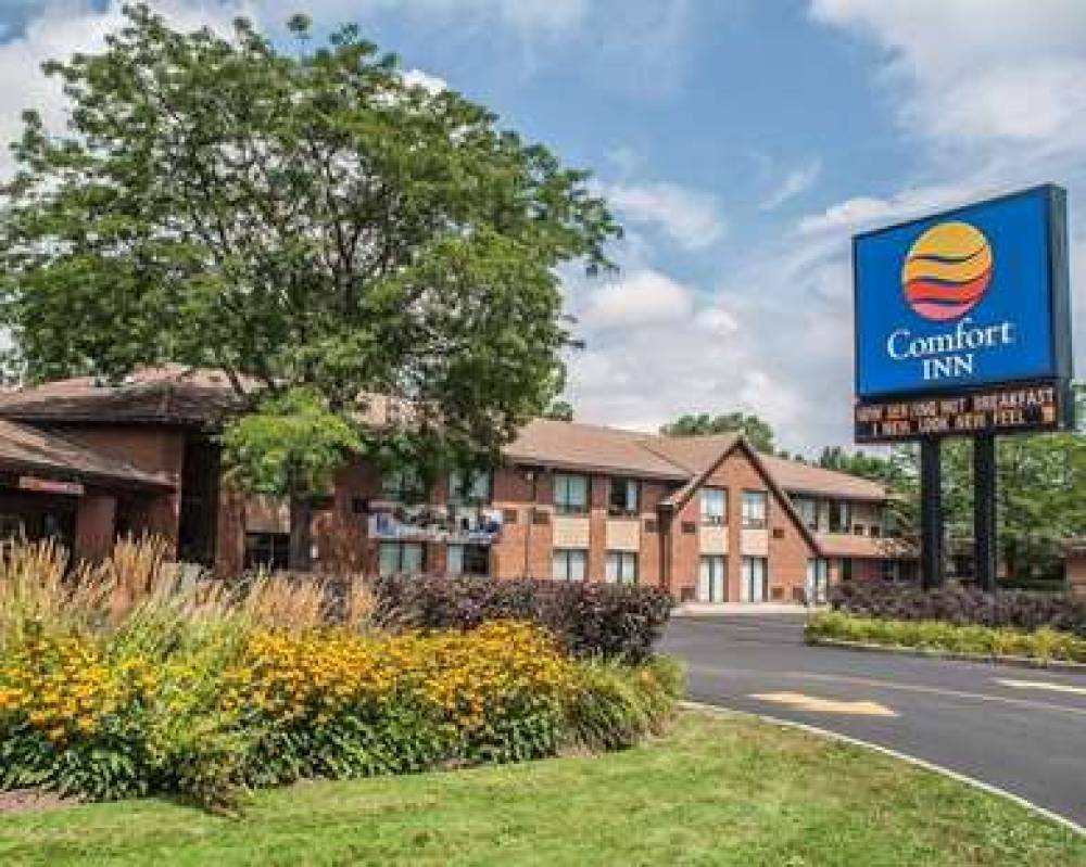 Comfort Inn Simcoe 1