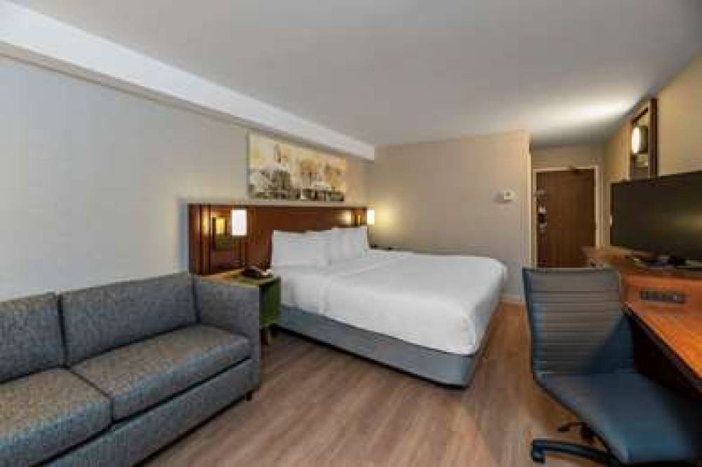 Comfort Inn South 10