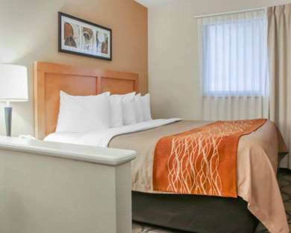 COMFORT INN SOUTH 8