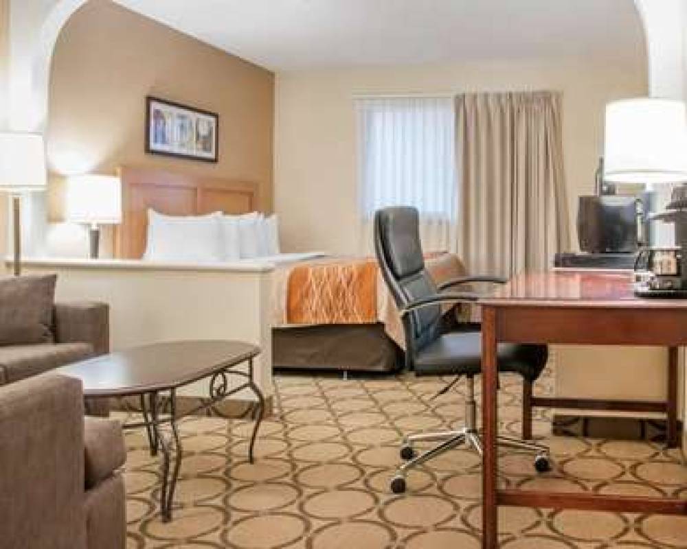 COMFORT INN SOUTH 10