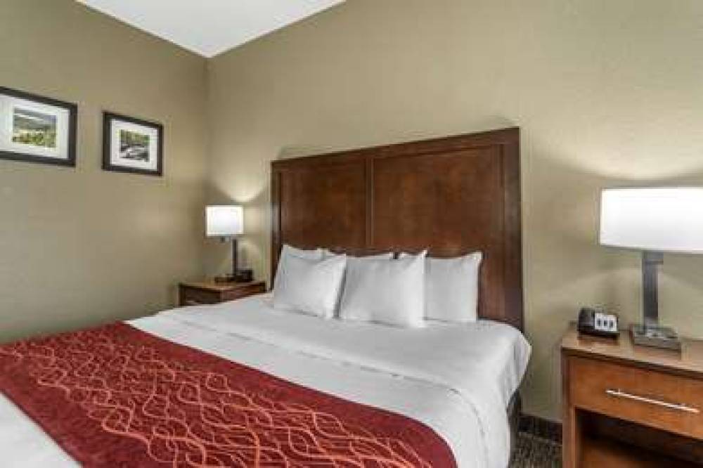 Comfort Inn South 10