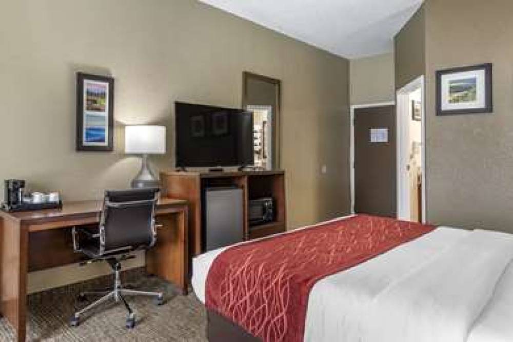 Comfort Inn South 9