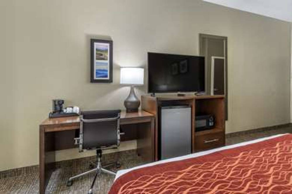 Comfort Inn South 5