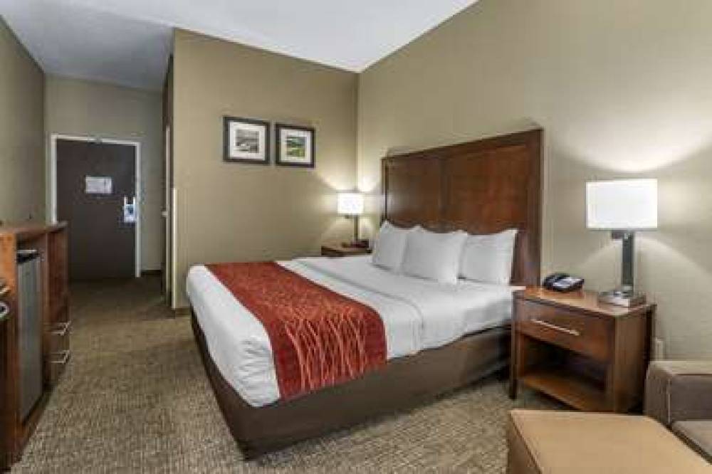 Comfort Inn South 4