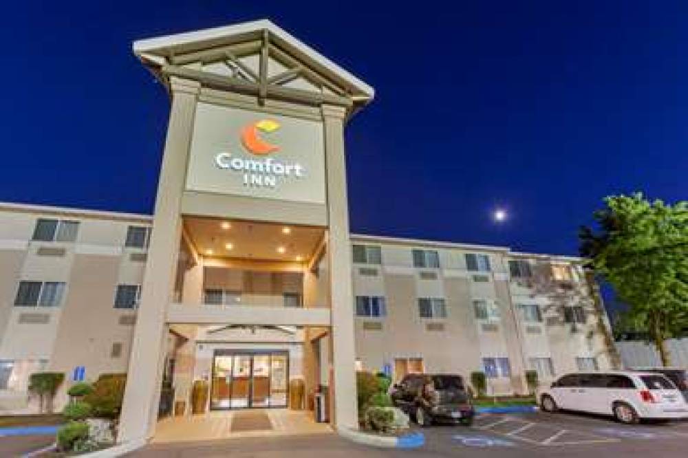 Comfort Inn South 3