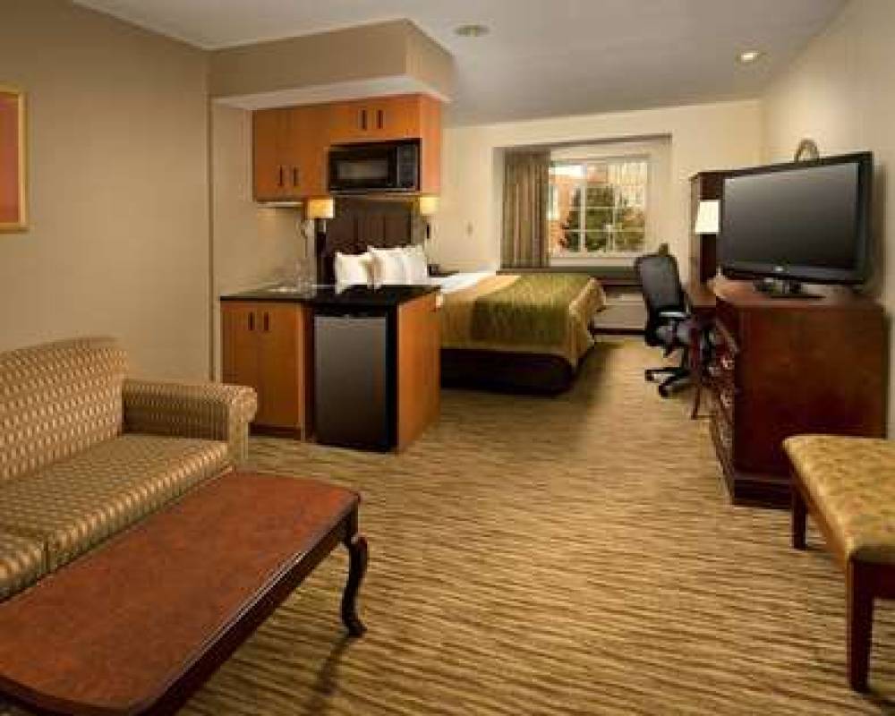 COMFORT INN & SUITES AIRPORT DULLES 10