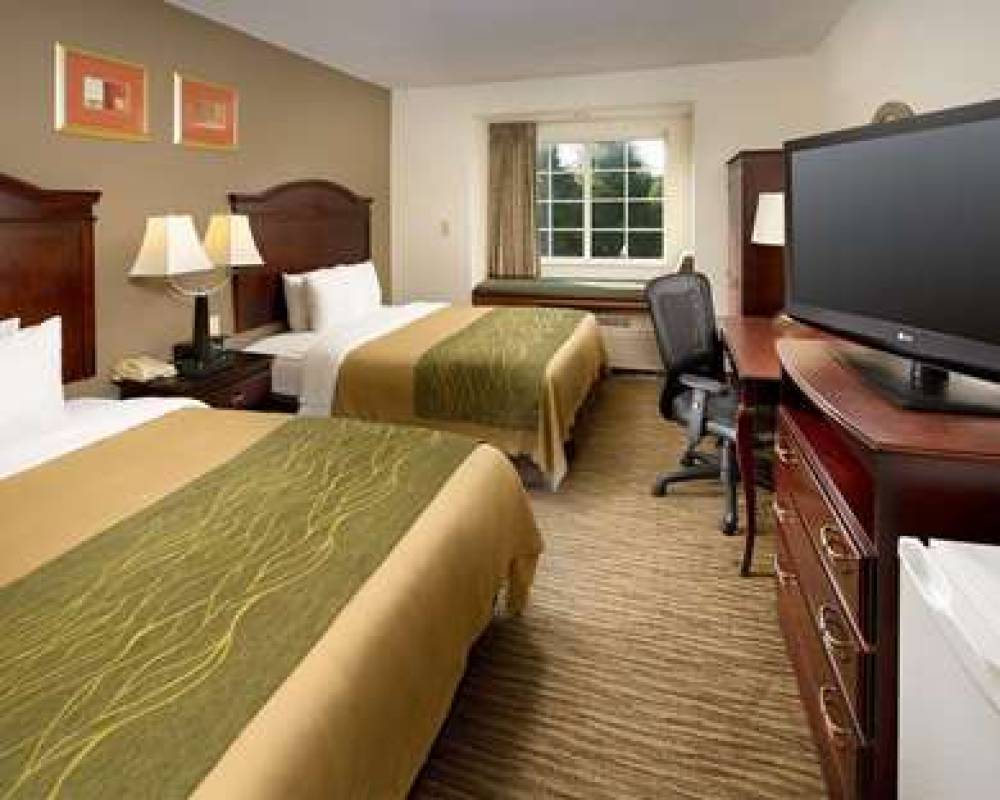 COMFORT INN & SUITES AIRPORT DULLES 7