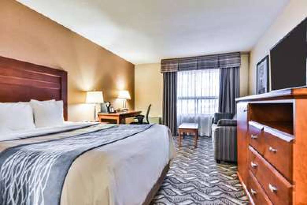 Comfort Inn & Suites Ambassador Bridge 7