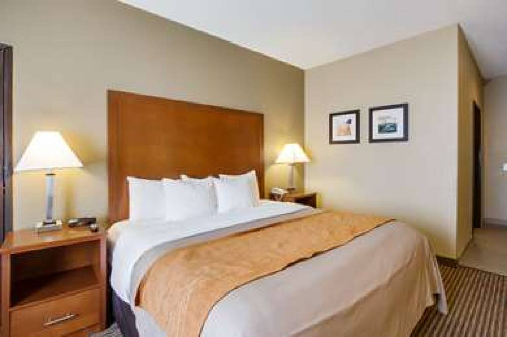 COMFORT INN & SUITES BELLEVUE - OMA 8