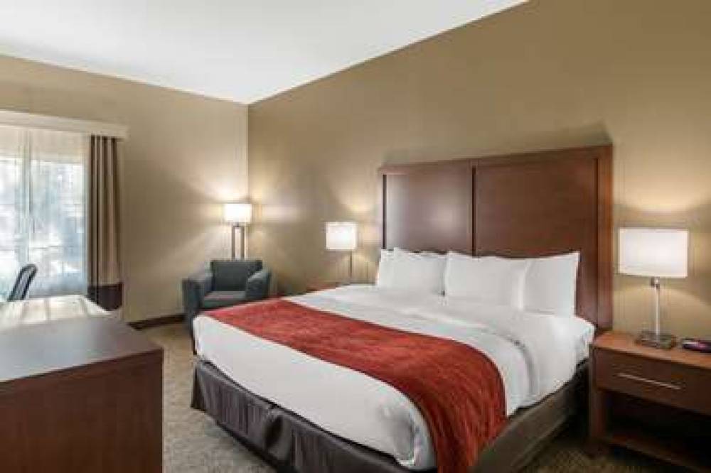 COMFORT INN & SUITES CEDAR HILL DUN 5