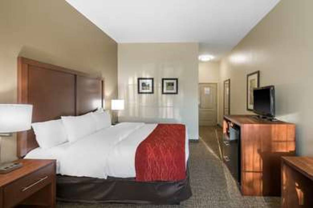 COMFORT INN & SUITES CEDAR HILL DUN 8