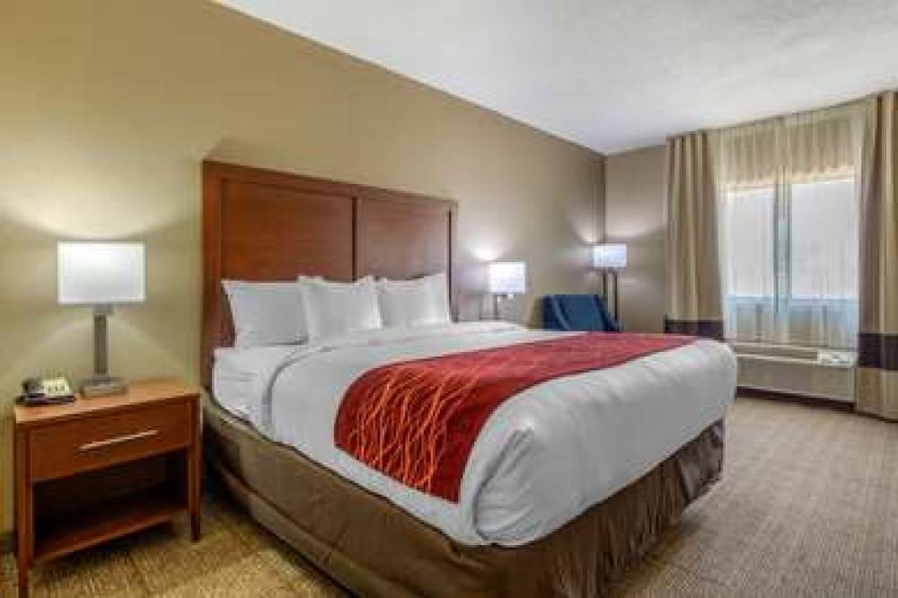 COMFORT INN & SUITES 5