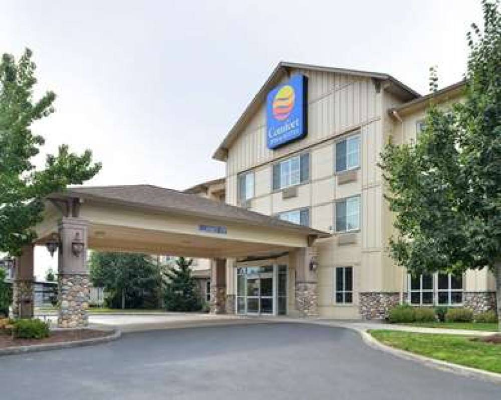 Comfort Inn & Suites 1