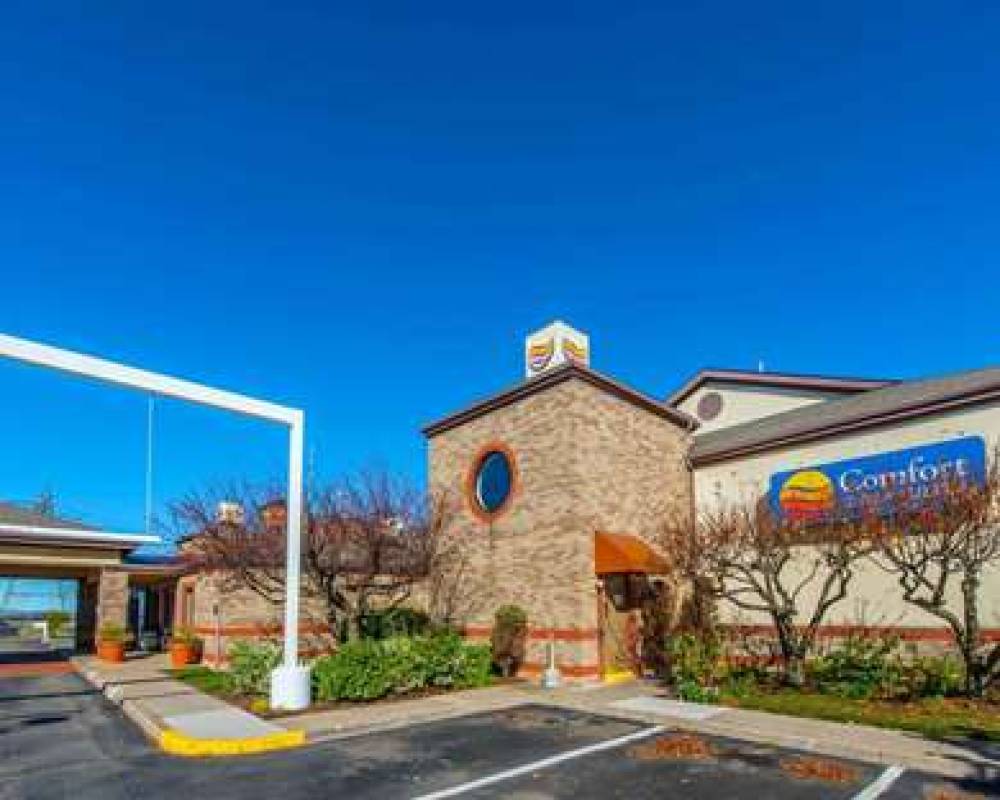 Comfort Inn & Suites 3