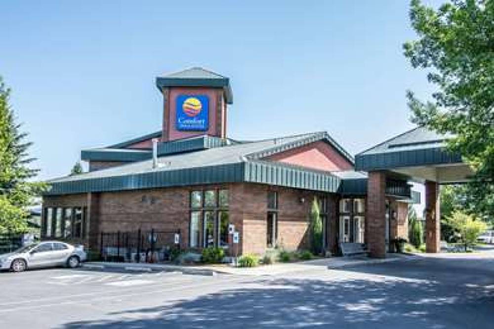 Comfort Inn & Suites 1