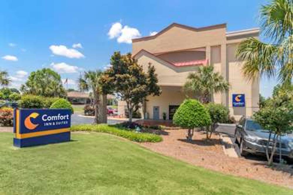 Comfort Inn & Suites 7