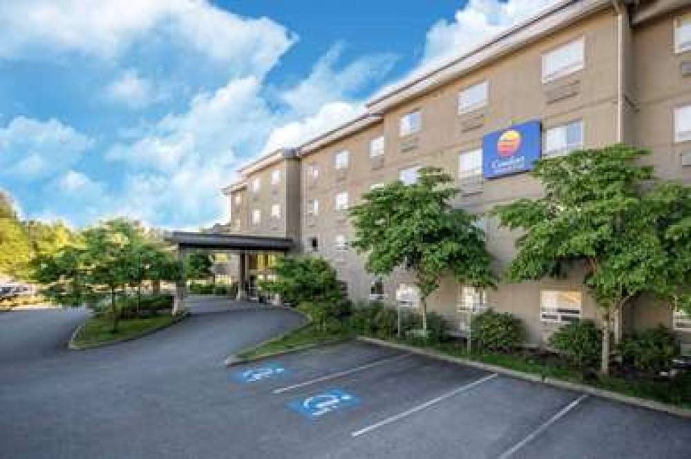 Comfort Inn & Suites 1