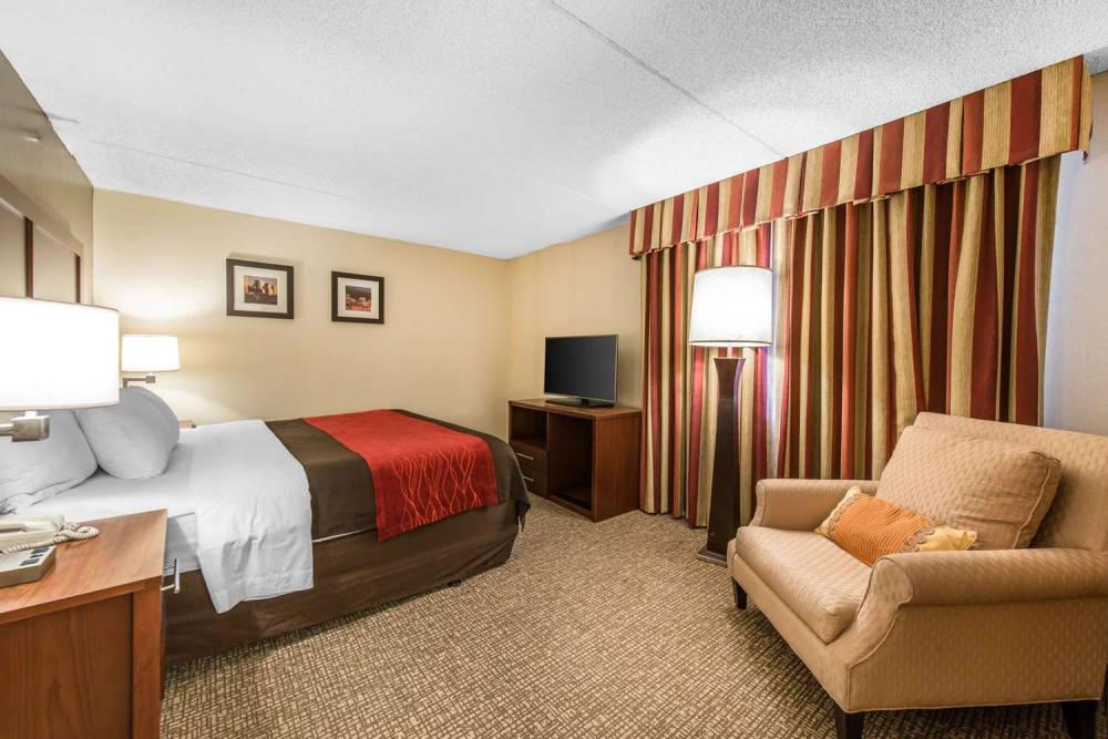 Comfort Inn & Suites Denver Northfield 3