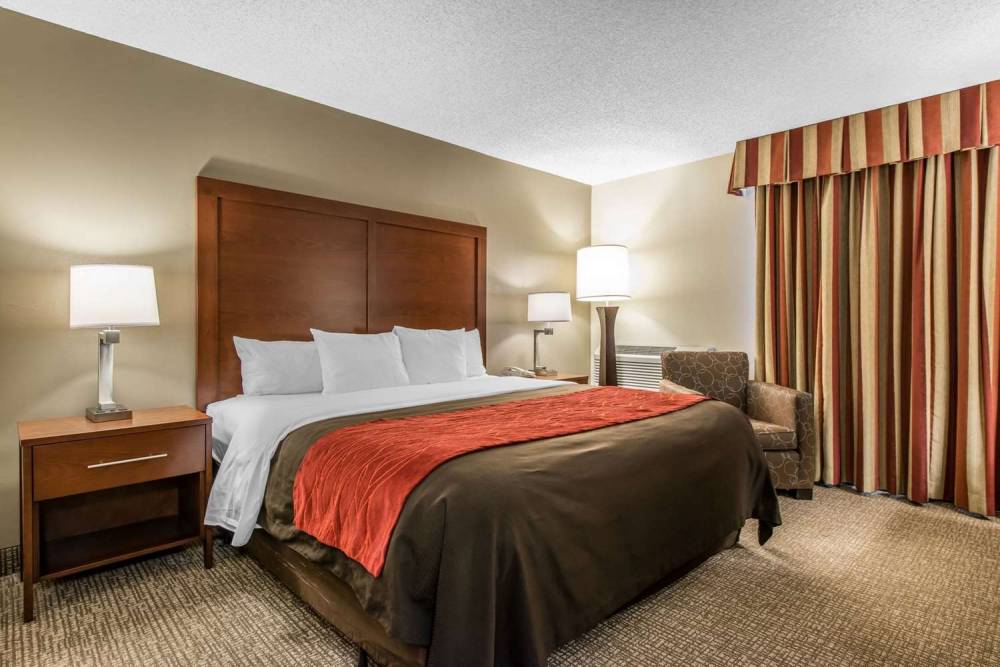 Comfort Inn & Suites Denver Northfield 5