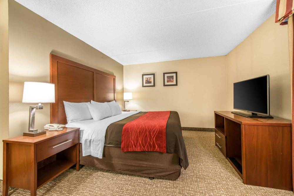 Comfort Inn & Suites Denver Northfield 7