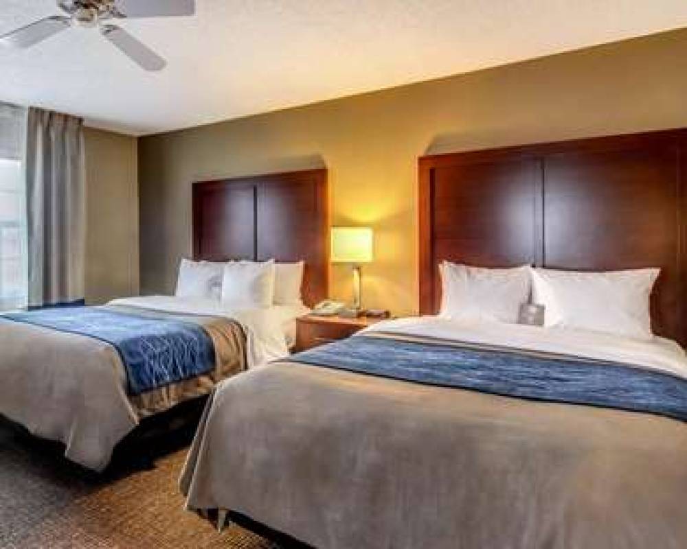 Comfort Inn & Suites Grafton-Cedarburg 7