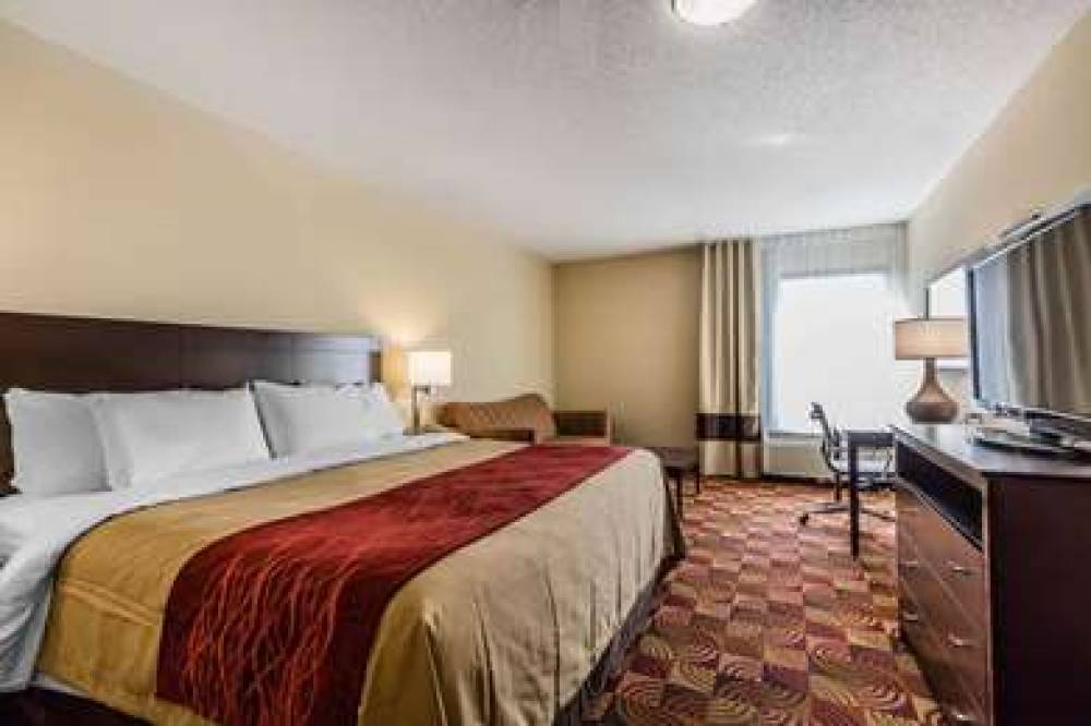 COMFORT INN & SUITES JASPER HWY 78 10