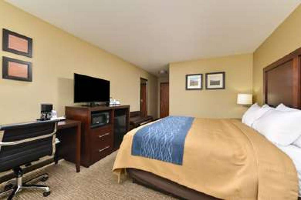 COMFORT INN & SUITES MANHEIM - LEBA 10