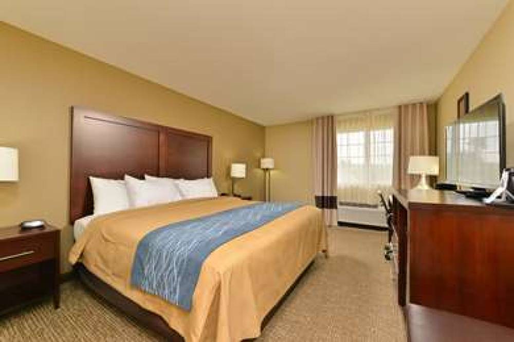 COMFORT INN & SUITES MANHEIM - LEBA 9