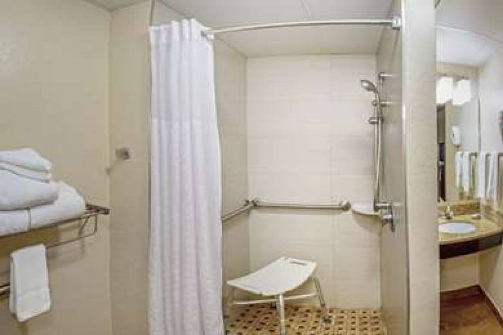 COMFORT INN & SUITES SARASOTA I75 10