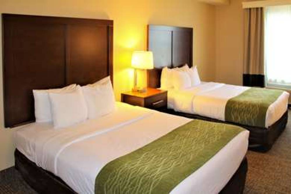 Comfort Inn & Suites St. Louis - Chesterfield 8