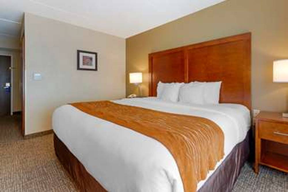 Comfort Inn & Suites Wilkes Barre - Arena 6