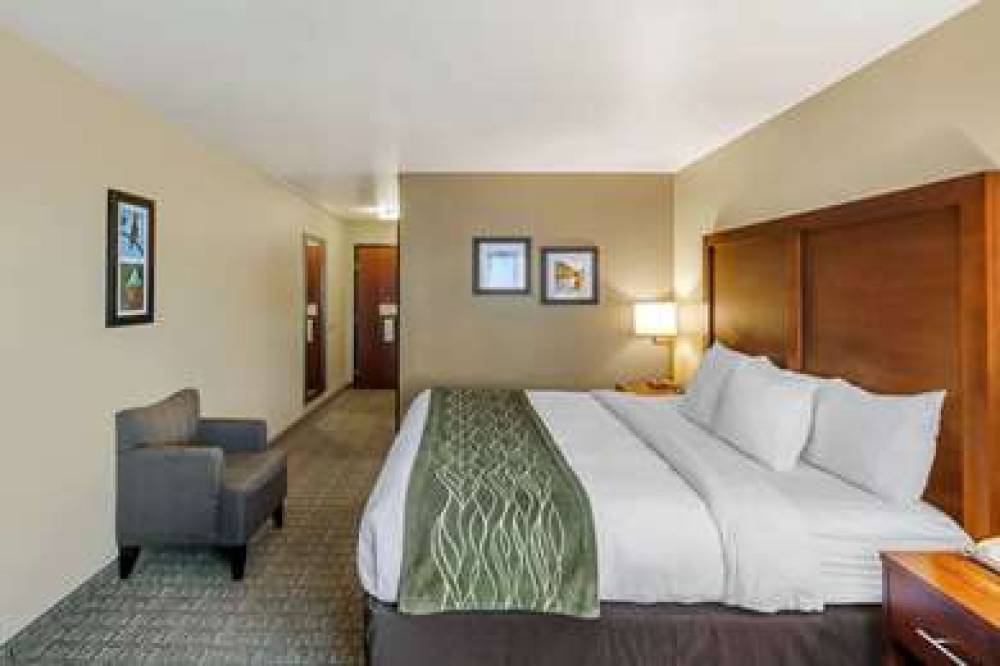 Comfort Inn University 4