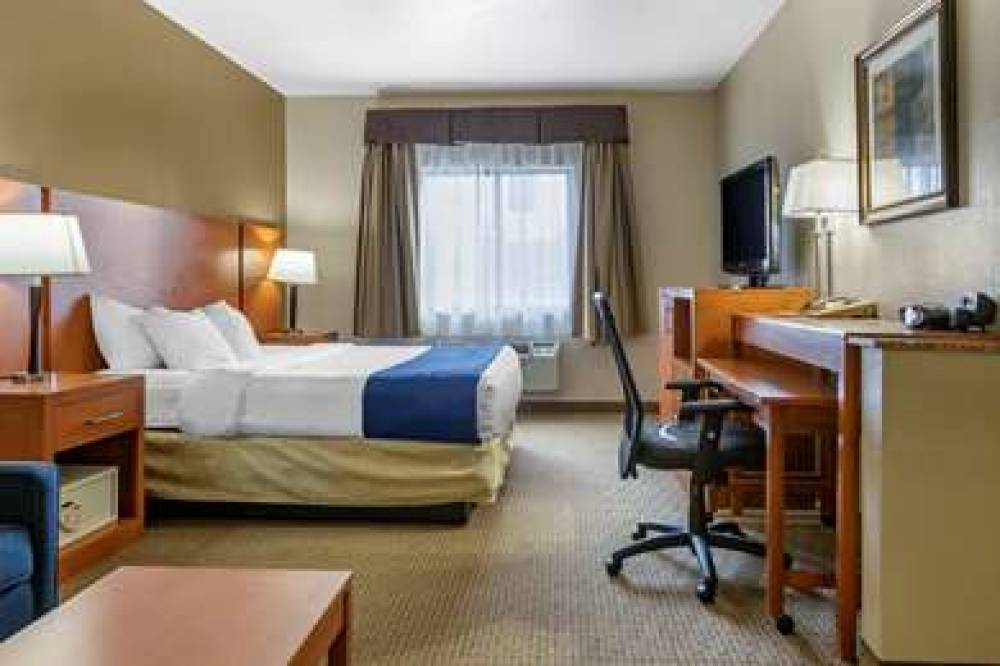 COMFORT SUITES AUBURN HILLS-DETROIT 8