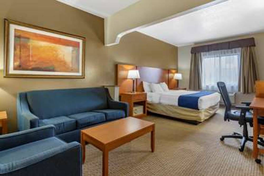 COMFORT SUITES AUBURN HILLS-DETROIT 6