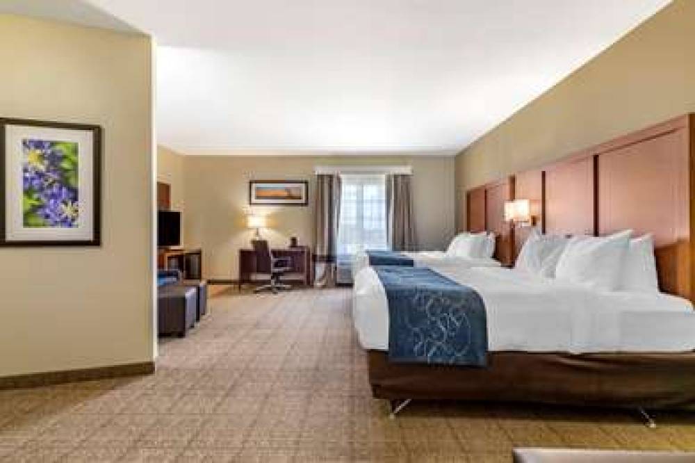 Comfort Suites Buda - Austin South 9