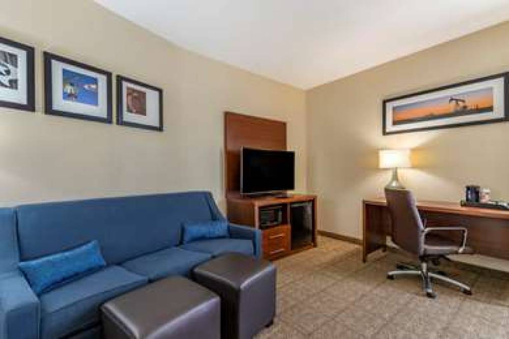 Comfort Suites Buda - Austin South 10