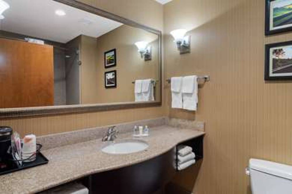 Comfort Suites Byron Warner Robins 7