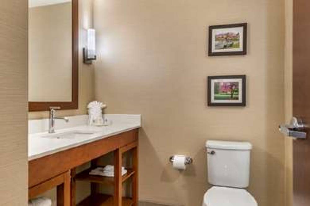 COMFORT SUITES CAMP HILL-HARRISBURG 10