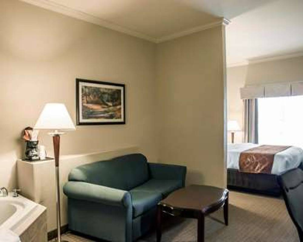 Comfort Suites Cincinnati North 9