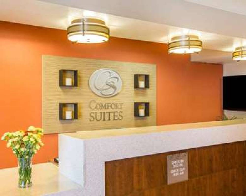 Comfort Suites 7