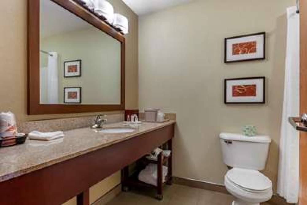 Comfort Suites Delavan - Lake Geneva Area 8