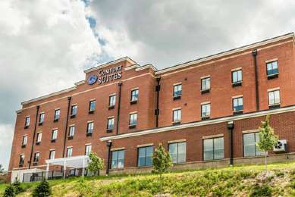 Comfort Suites Florence - Cincinnati South 3