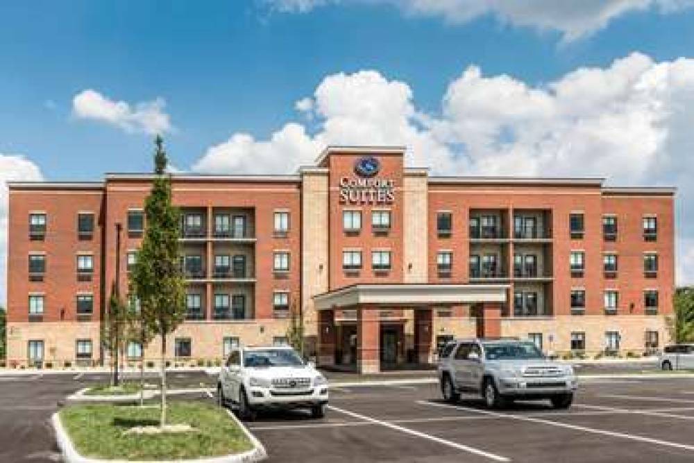 Comfort Suites Florence - Cincinnati South 2